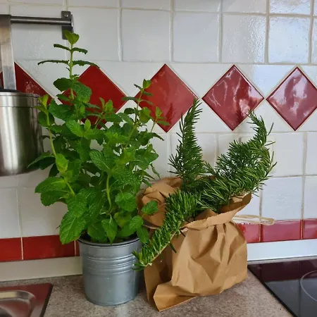 아파트 Vedrana 로비니